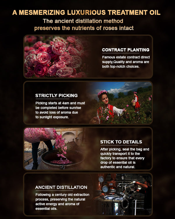Rose Massage Oil